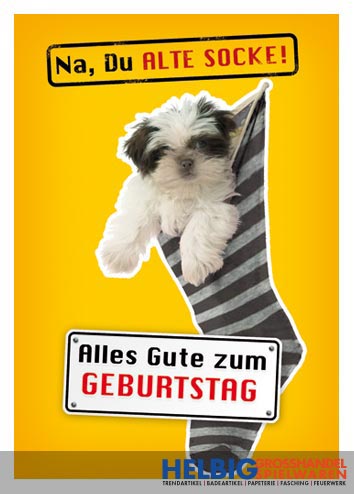 Glückwunschkarte Geburtstag "...alte Socke Hund"02003