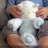 Baby Plüsch-Kuscheltier "Lamm Sheppy" - 30 cm