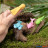 Gummi-Schuß-Tiere "Dinos & Meerestiere" 4er Set - sort.