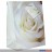 Geschenktüte "Rose" medium - sortiert