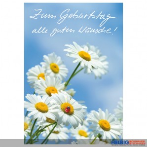 Glückwunschkarte Geburtstag "...alle guten Wünsche"