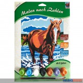Malen nach Zahlen "Klassik - 7 Farben" - sort.