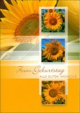 Karte Geburtstag "Sonnenblumen"